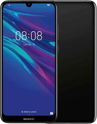 Y6 2019